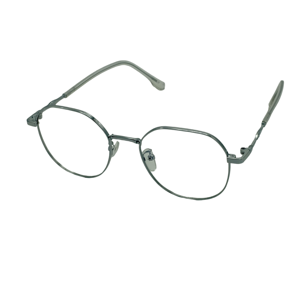 Vintage Round Metal Glasses – Silver Frame with Transparent Temples