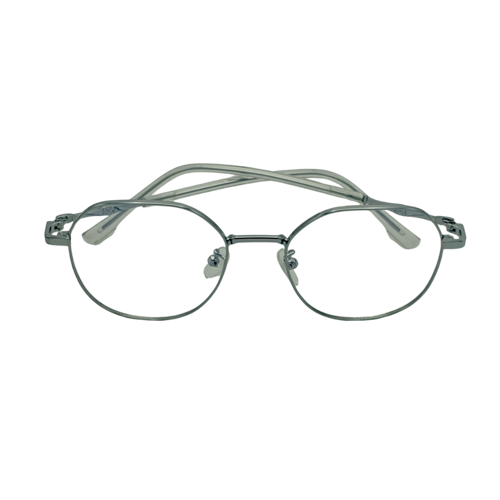 Vintage Round Metal Glasses – Silver Frame with Transparent Temples