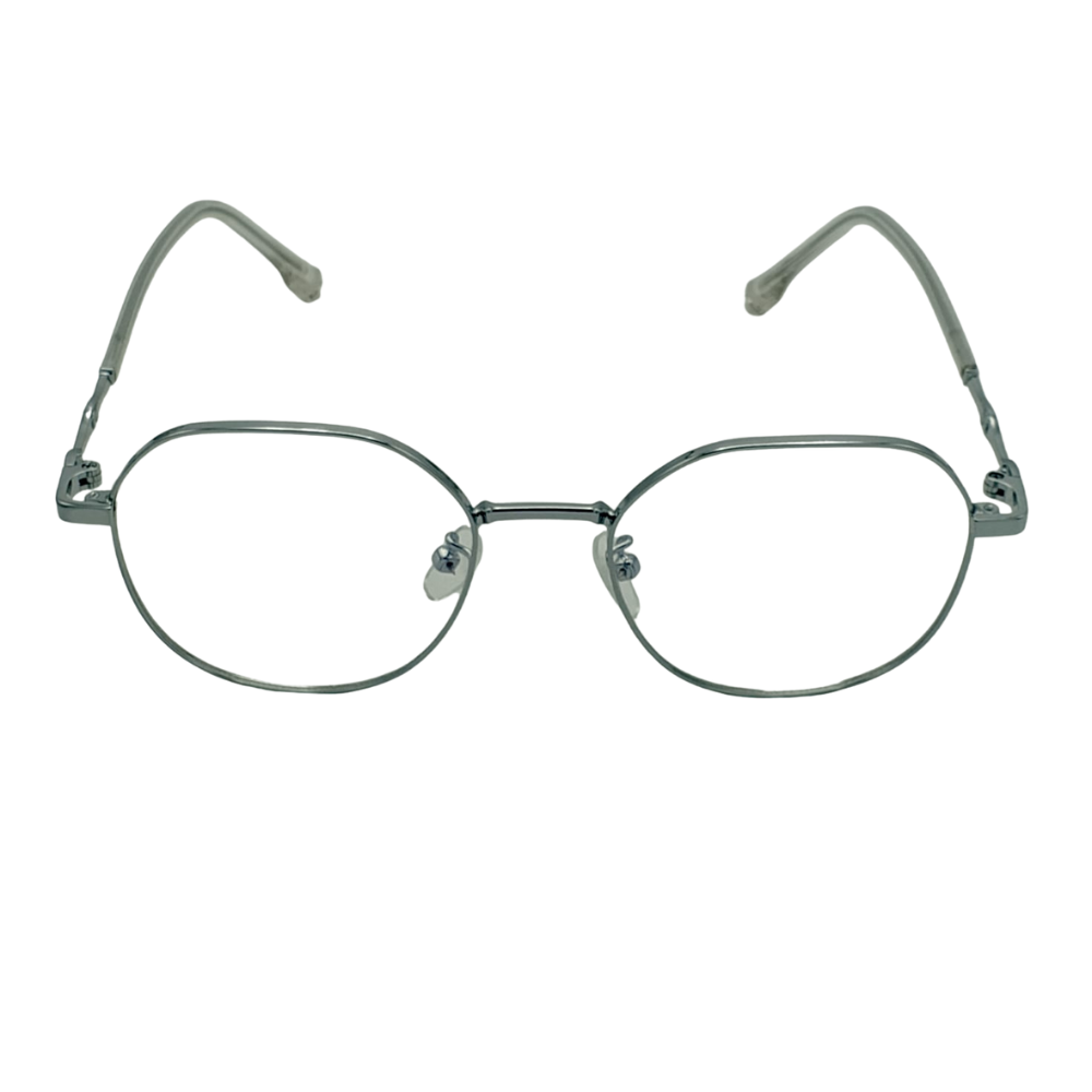 Vintage Round Metal Glasses – Silver Frame with Transparent Temples